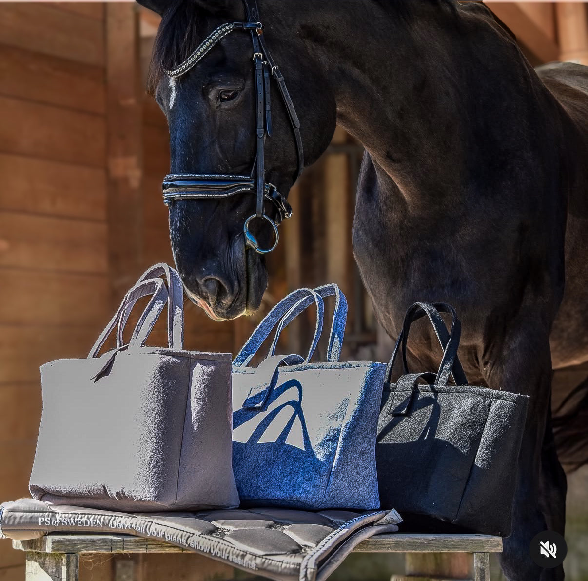 Die Stable Bag